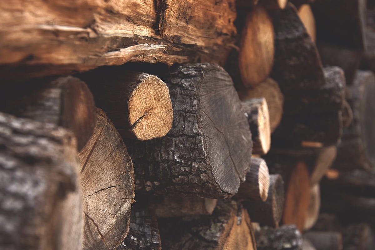 Stacked firewood logs including oak and hickory for smoking brisket