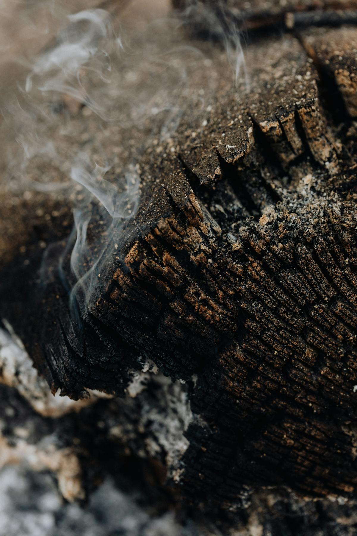 Close-up of smoldering wood with smoke rising from charred surface